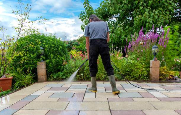 Best Sidewalk and Walkway Pressure Cleaning in Keyser, WV