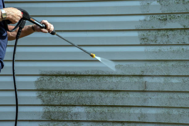 Best Roof Cleaning and Mildew Removal in Keyser, WV